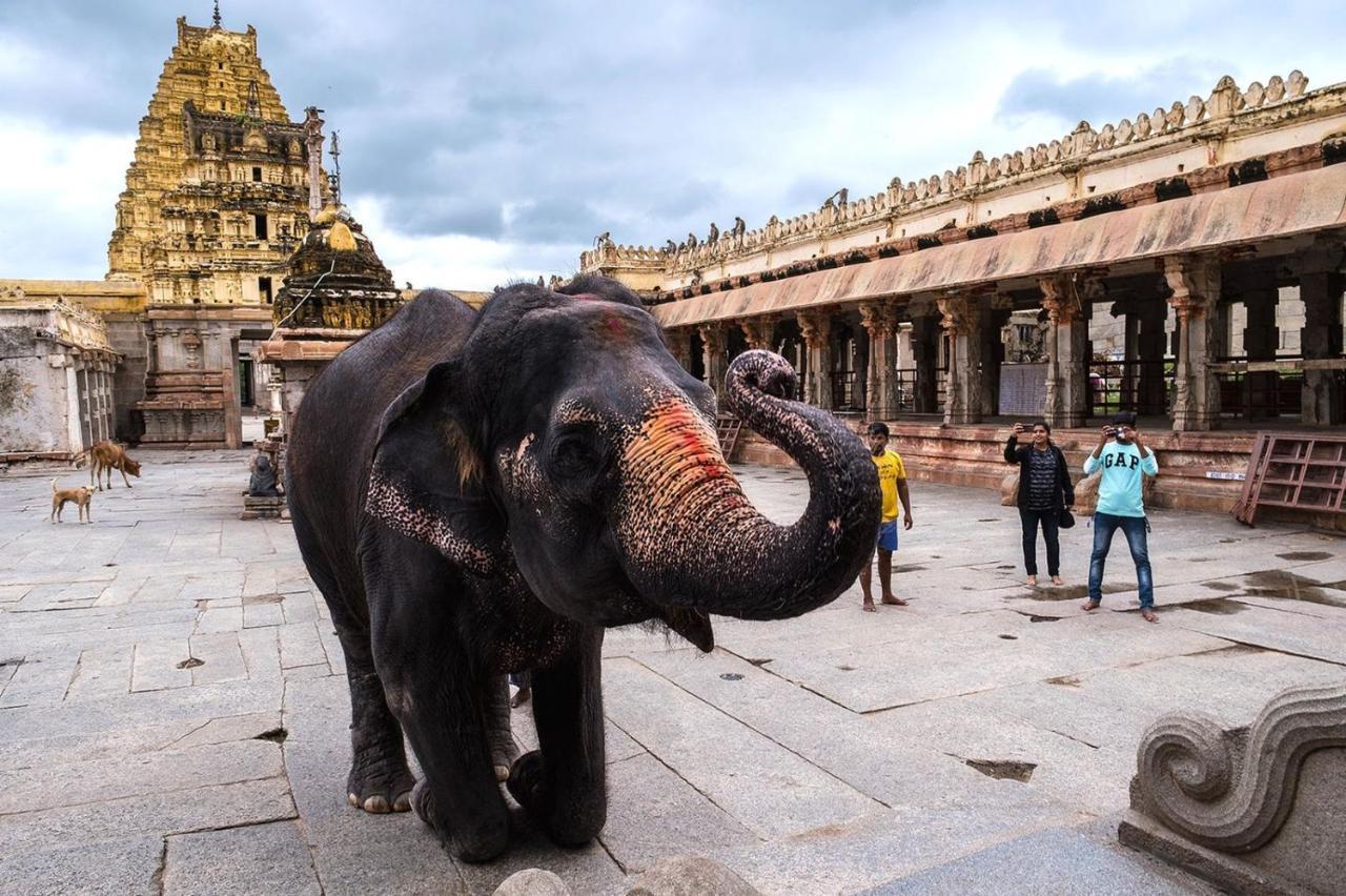 Vicky'S Home Stay Hampi Exteriér fotografie